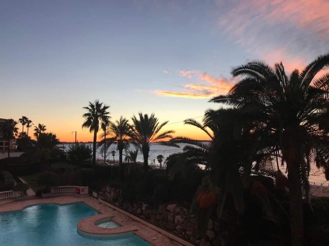 Sleep In Cannes Between Sea And Mountains 아파트 외부 사진